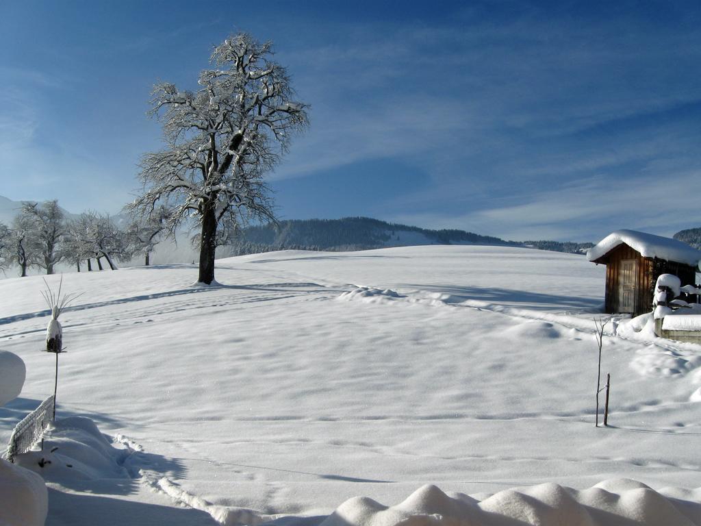 Schweizer Hof Villa Schwarzenberg im Bregenzerwald Dış mekan fotoğraf